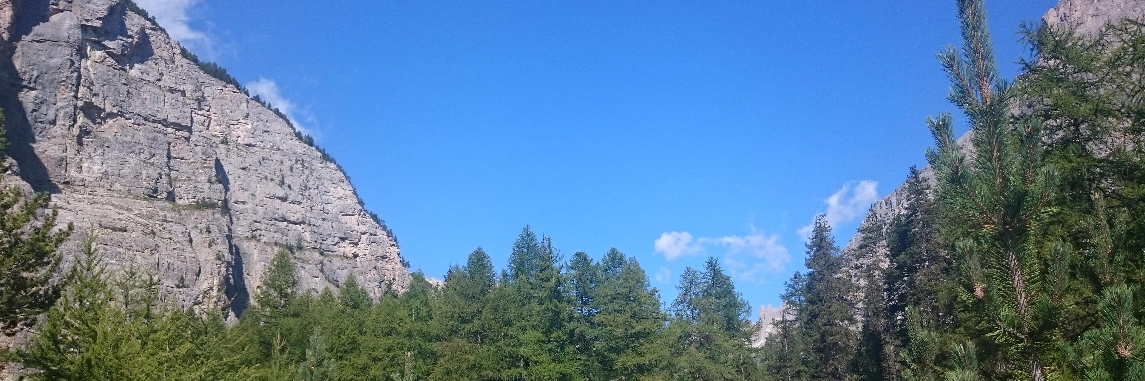 vogliolo's profile banner image