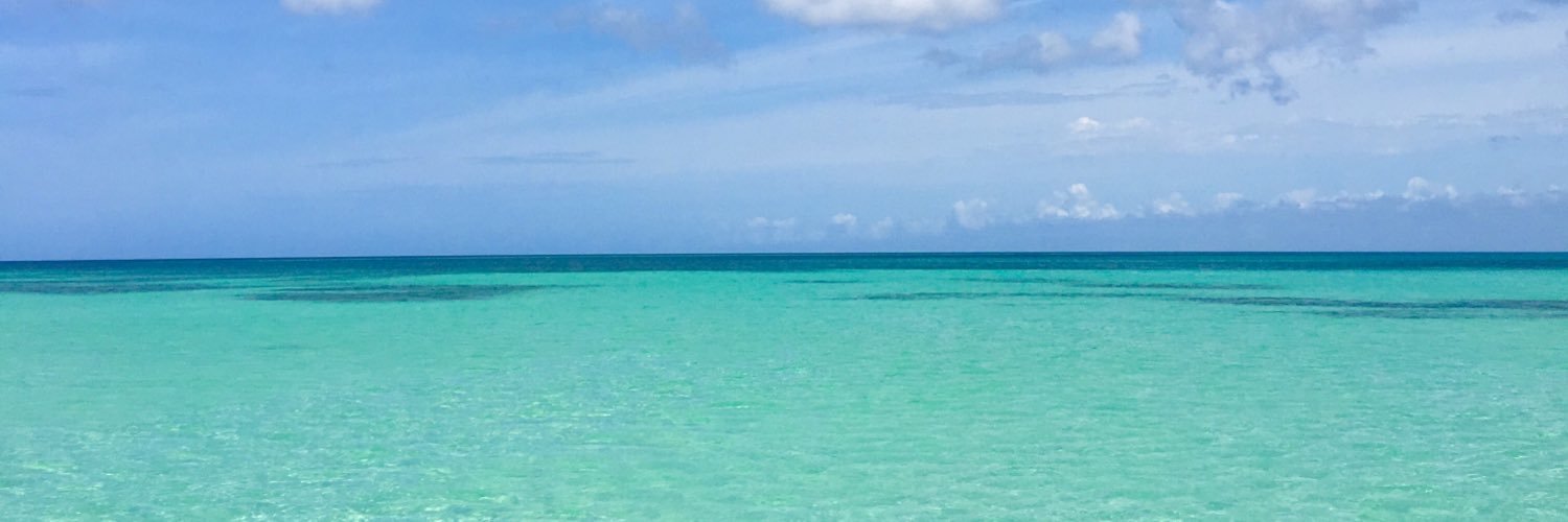AronHicks's profile banner image