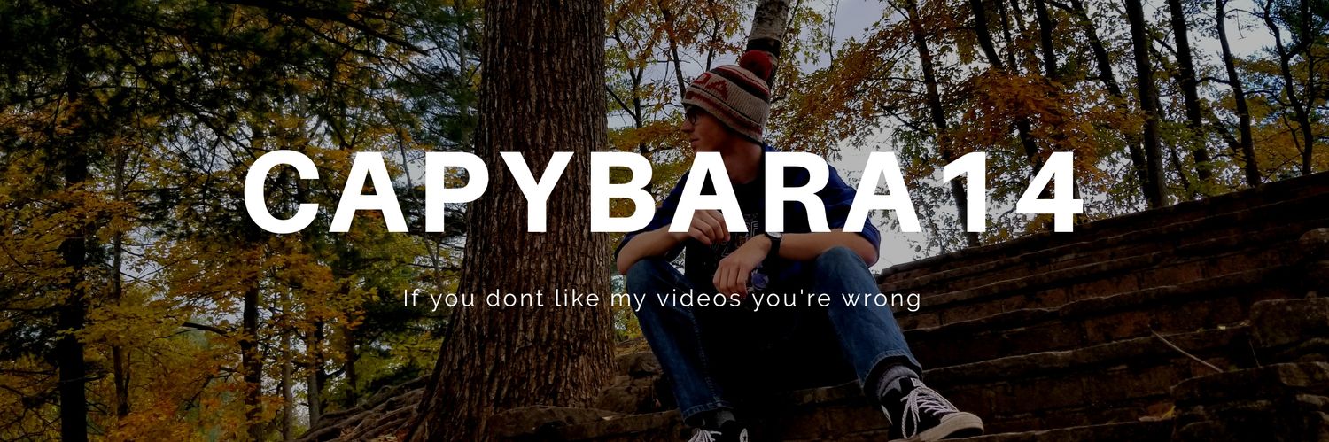 Capybara_14's profile banner image