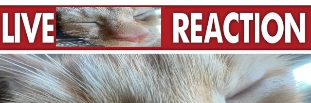 NotVages's profile banner image
