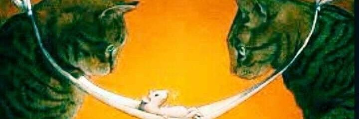 setvidas's profile banner image