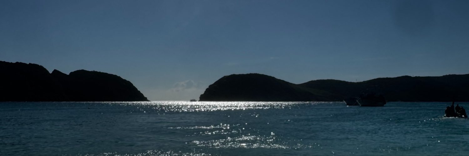 waangi3's profile banner image