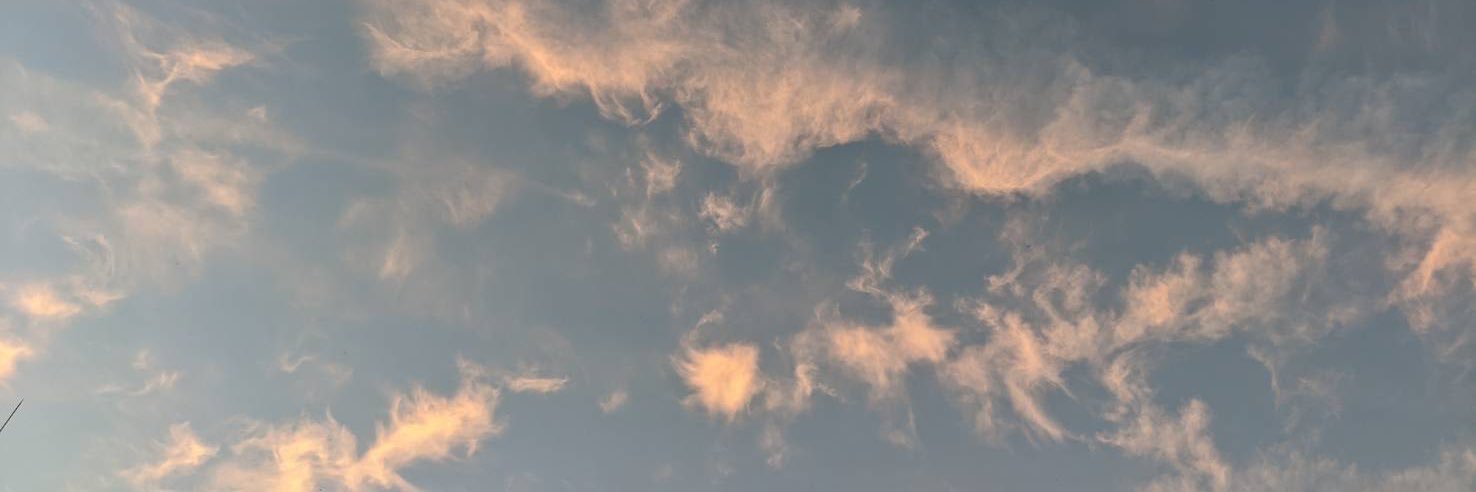 barelu banner