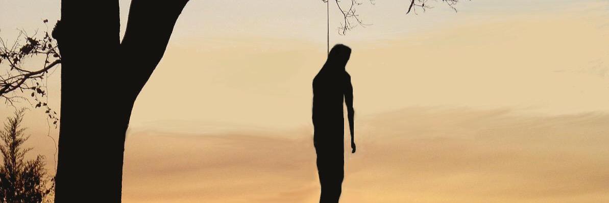 MSRBLFLR's profile banner image