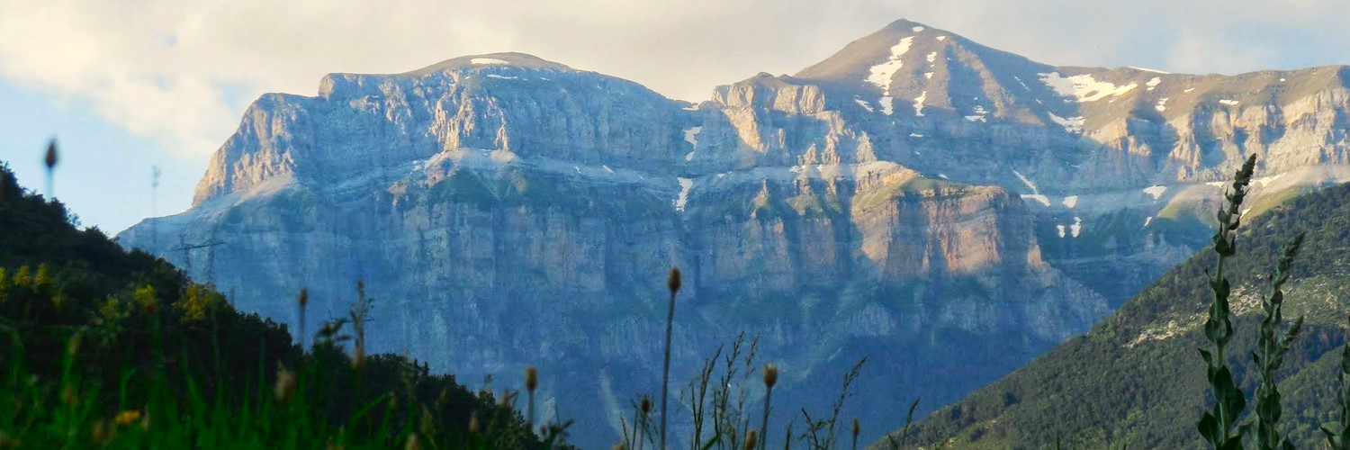 celescuerda's profile banner image