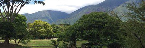 d_rivero's profile banner image
