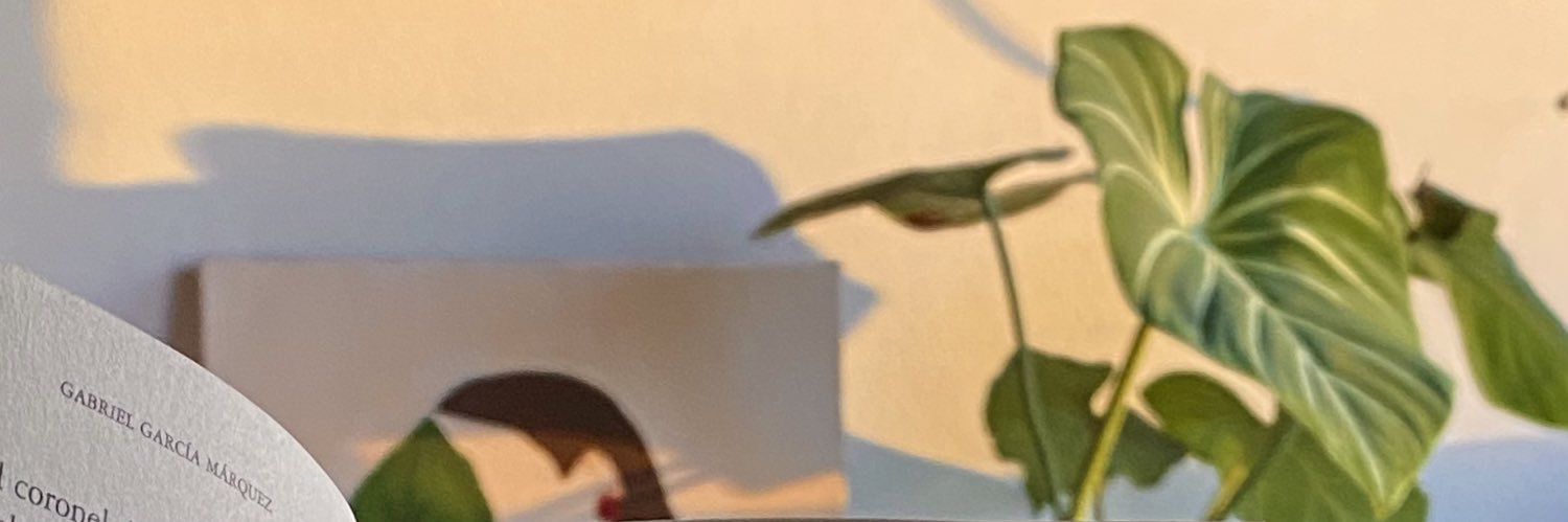 _marcelara's profile banner image