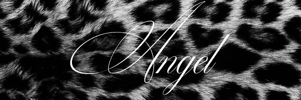 ae banner
