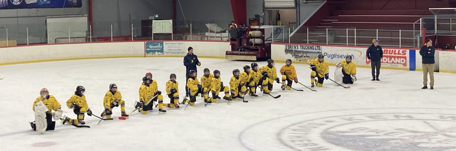 Capital Subaru Celtics banner