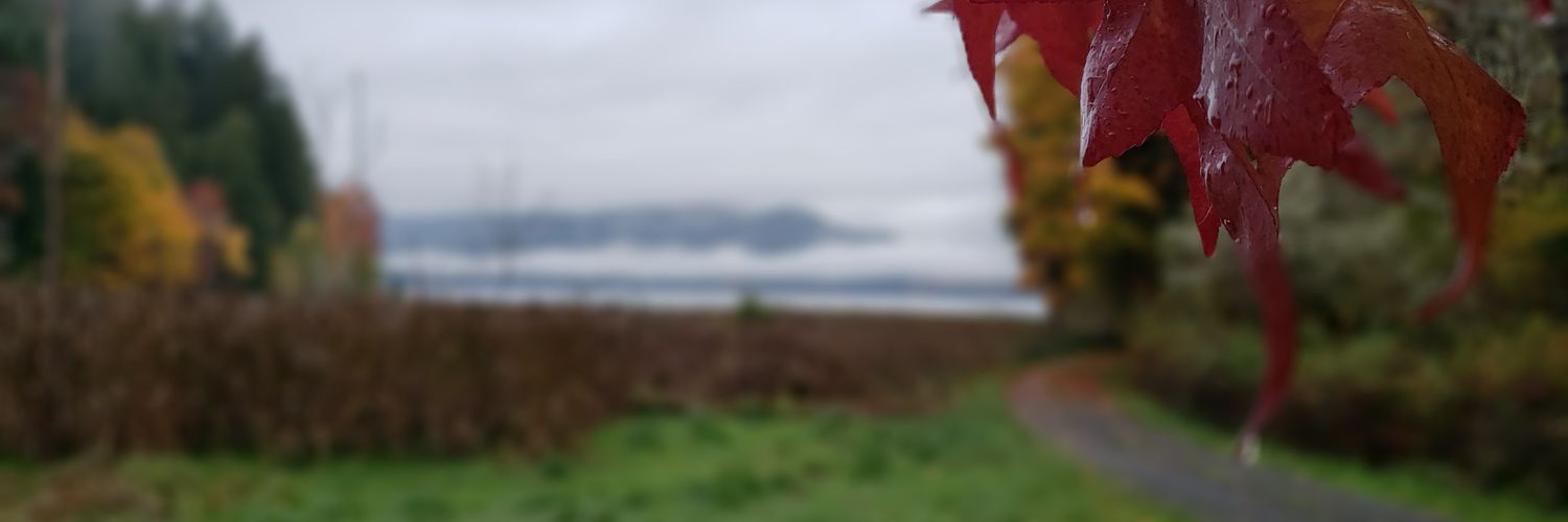 Blunt instrument banner