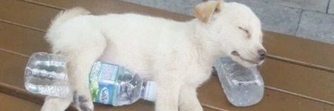 flmhugo's profile banner image
