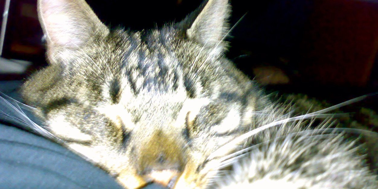 _Max_'s profile banner image