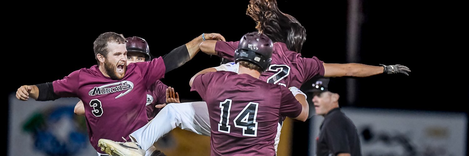 Chillicothe Mudcats banner
