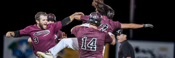 _Mudcats Profile Banner