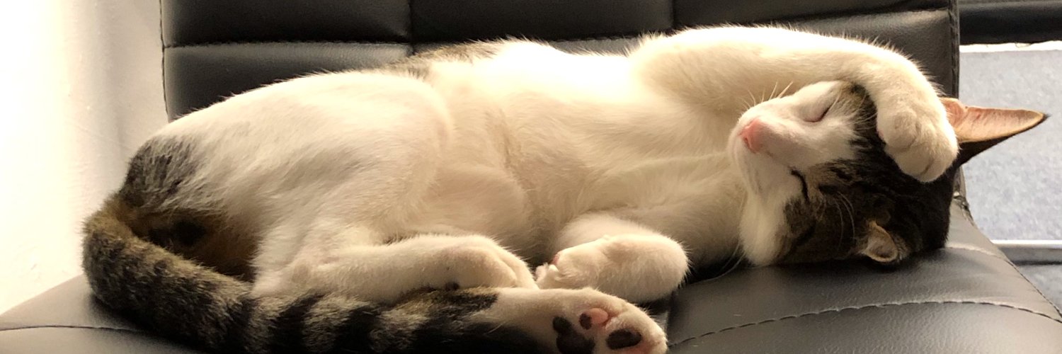 Sethisfy's profile banner image