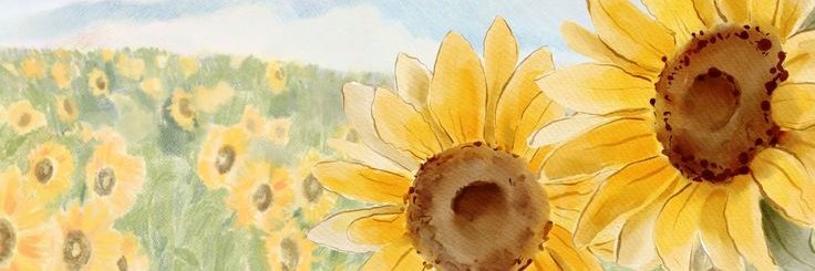 Caly.png ⭐🍉 banner