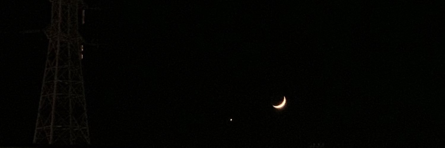 pale_moon39's profile banner image