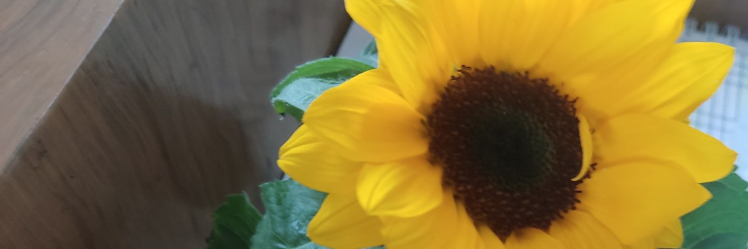 Nain_h85's profile banner image