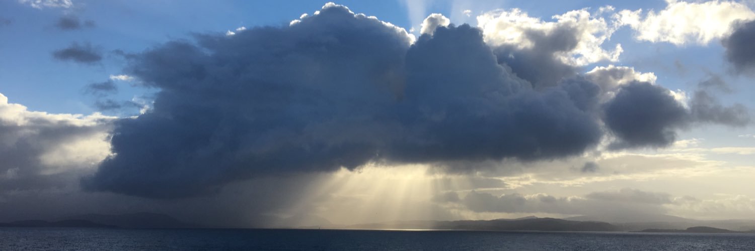 Carmen Valade banner