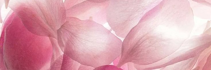 dimplesjae's profile banner image