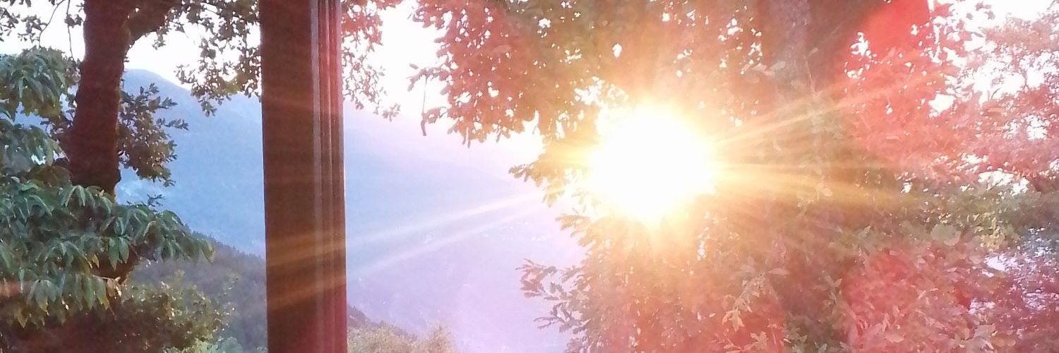 muratomik's profile banner image