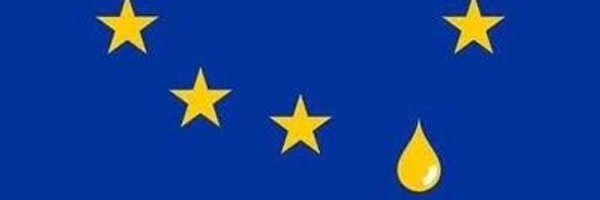 merllwyd Profile Banner