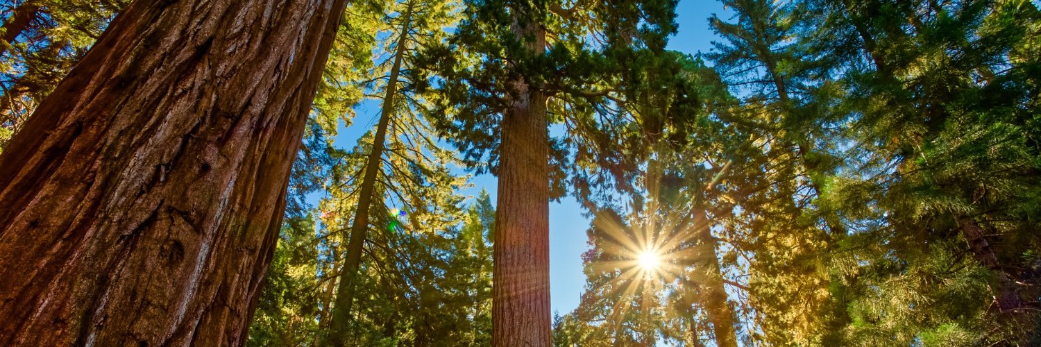 tmaleh9's profile banner image
