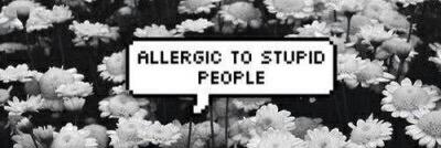 Marcella Freitas banner