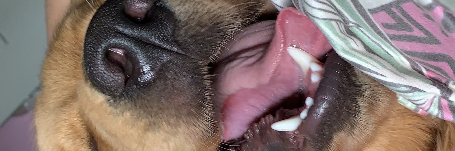debnevesl's profile banner image