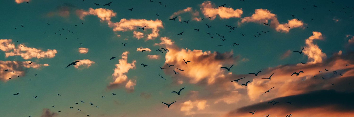 angelikk14's profile banner image