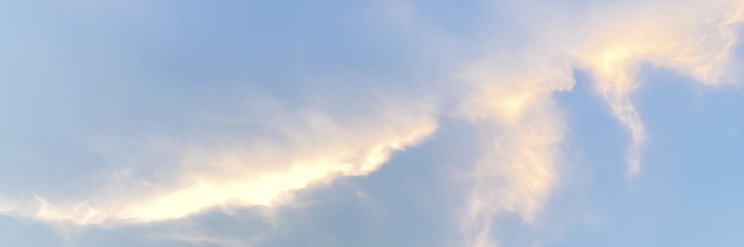 Long P banner