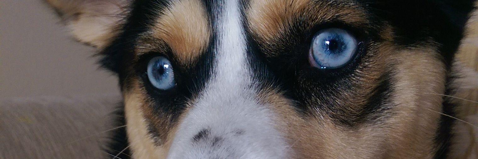 weemcgowan's profile banner image
