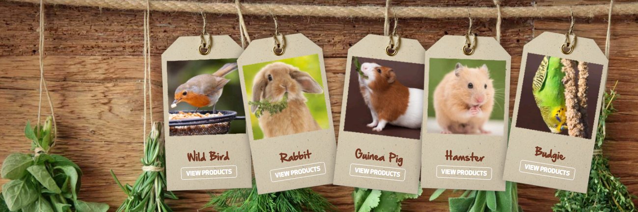 naturesfeast's profile banner image