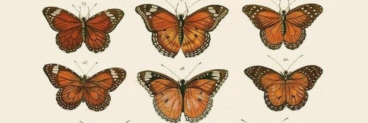 Gnesis_77's profile banner image