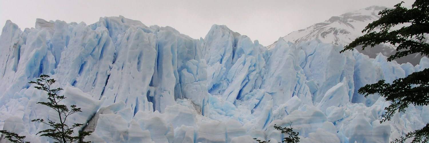 ratel 🇵🇱🇪🇺🇮🇱 Szanujmy się,kurwa! banner