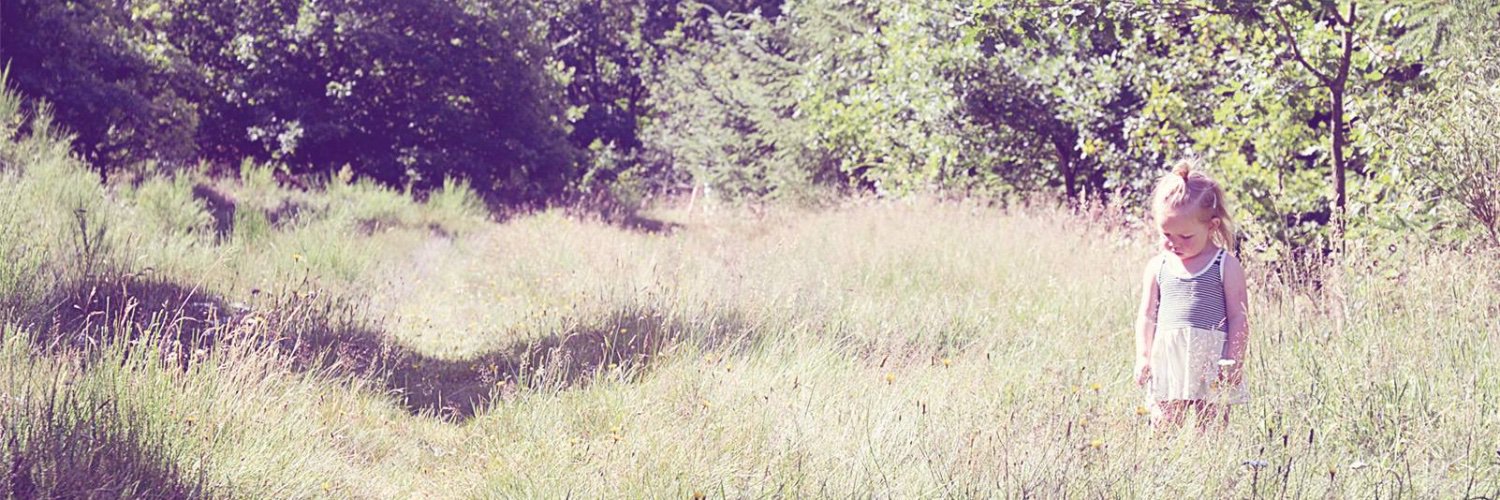 RuneAndersen's profile banner image