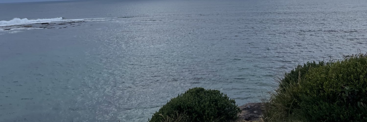 Beardless 🇦🇺 banner