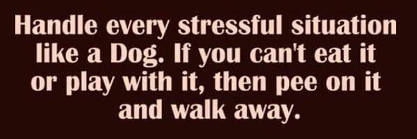 FlawlessBus95 🇬🇧🇺🇦🇮🇱 banner