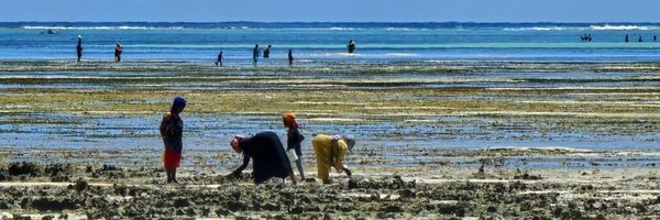 WUBU_Zanzibar Profile Banner