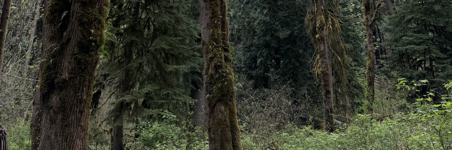 alchemicdruid's profile banner image