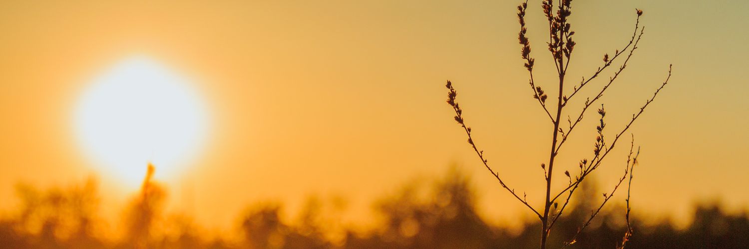 matww02's profile banner image