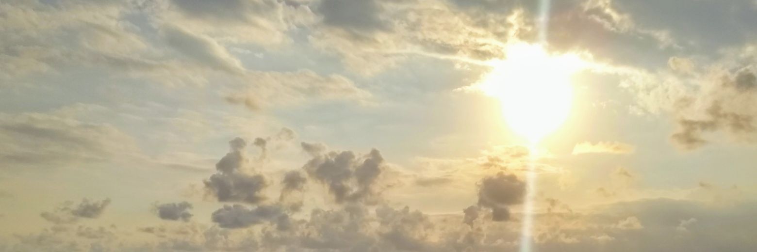 drleetch's profile banner image
