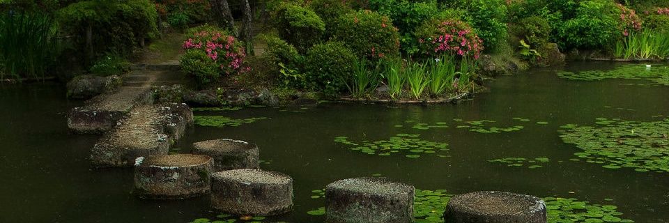 变小猪吧你 banner