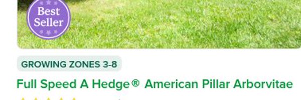 DoctorRazzWSOP Profile Banner