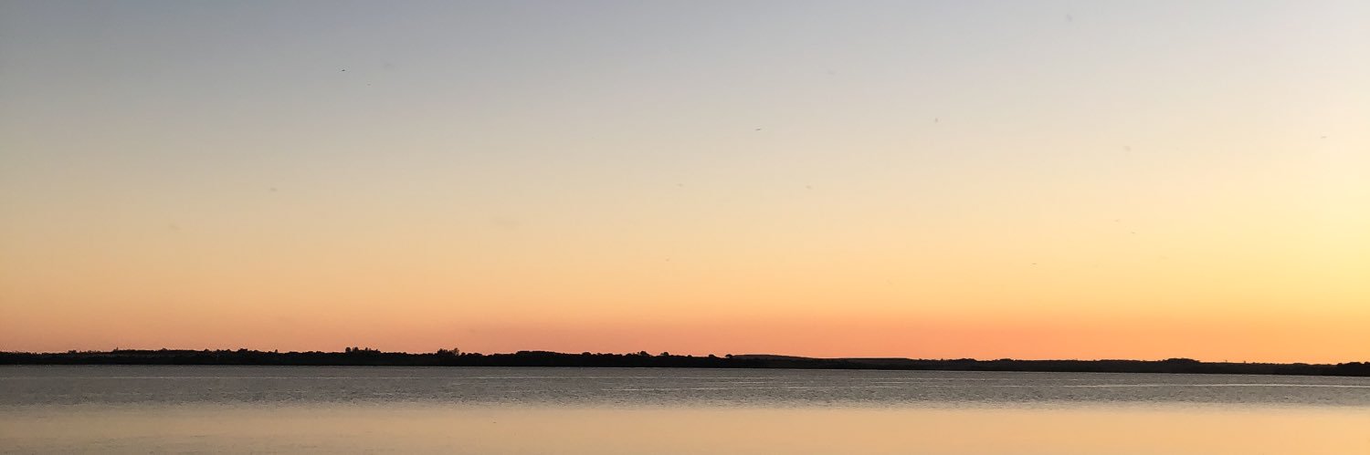 SolSegoviaH's profile banner image