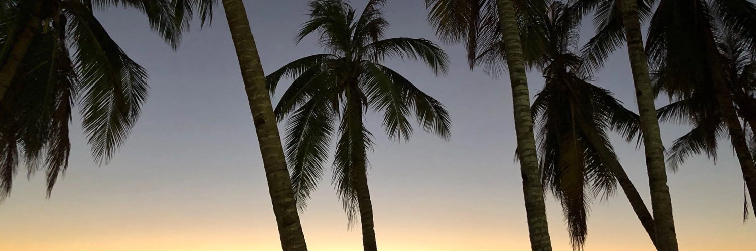 polly_802's profile banner image