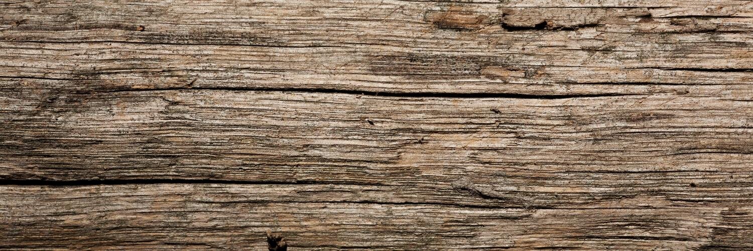 Victor Bittar banner