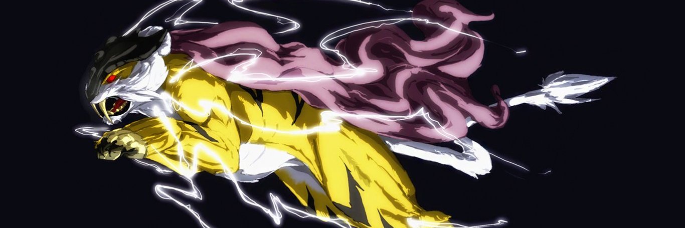 RabidRaikou's profile banner image