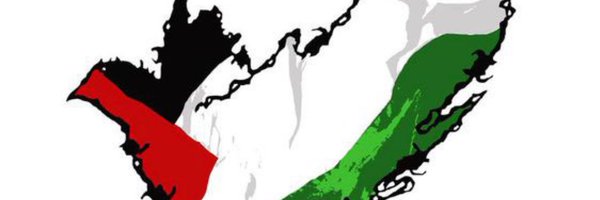 broly78600 Profile Banner