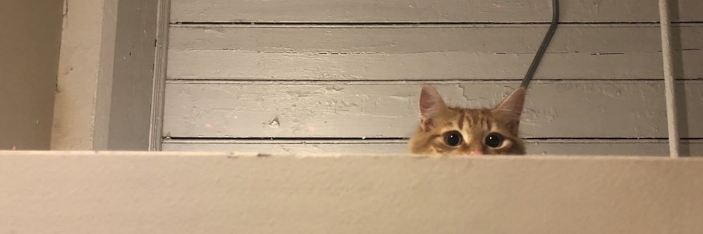 BlakeHunter_'s profile banner image